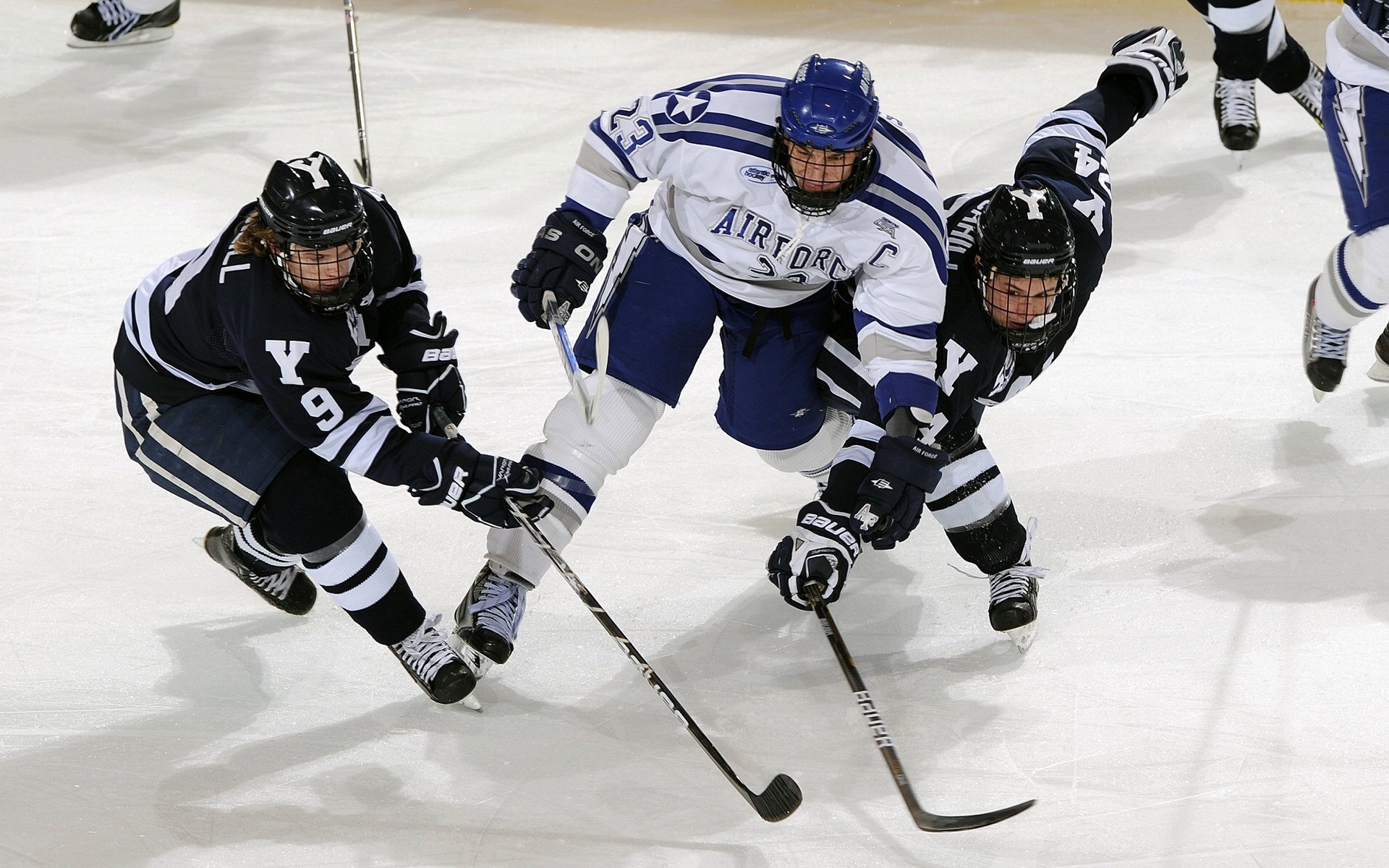 九游sports-赛事志愿者招募火热进行，志愿服务提升体验，赛场志愿者服务